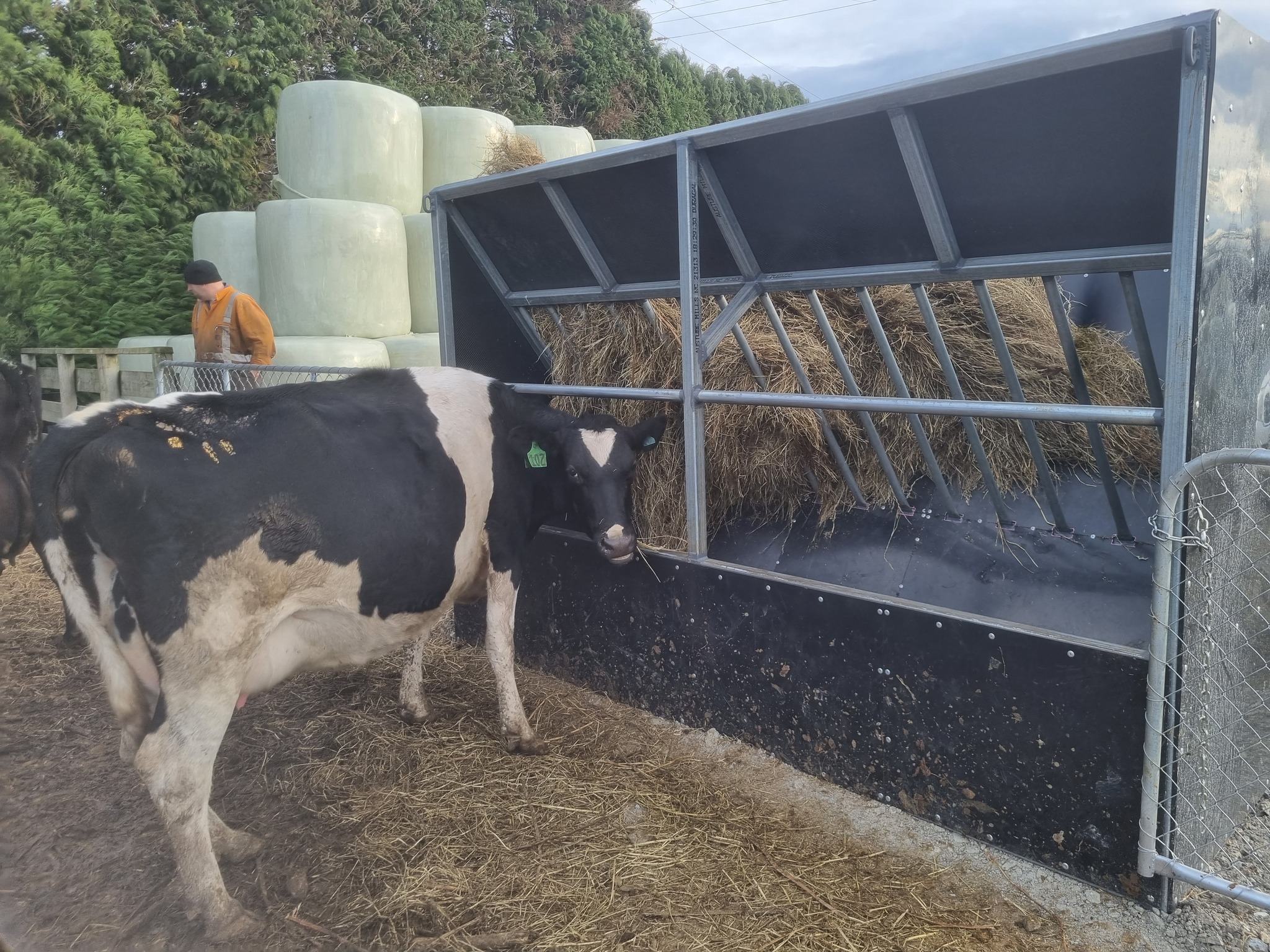Silage Feeder